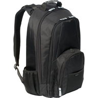 black velvet backpack 