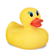 rubber duck 