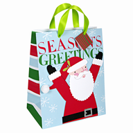 seasons greetings christmas giftbag 