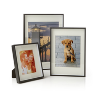 picture frames pets 